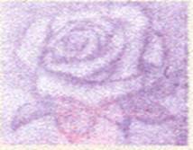 ÓŵÂ88(ÖйúÇø)¹Ù·½ÍøÕ¾