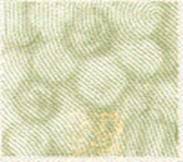 ÓŵÂ88(ÖйúÇø)¹Ù·½ÍøÕ¾