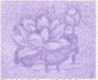 ÓŵÂ88(ÖйúÇø)¹Ù·½ÍøÕ¾